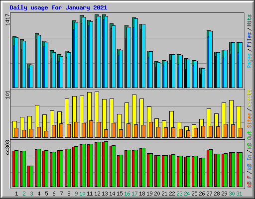 Daily usage for January 2021