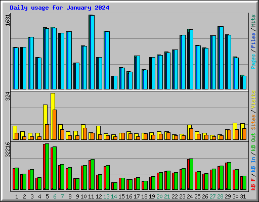 Daily usage for January 2024