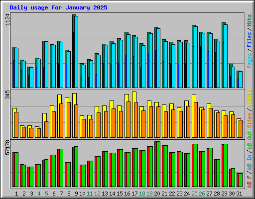 Daily usage for January 2025