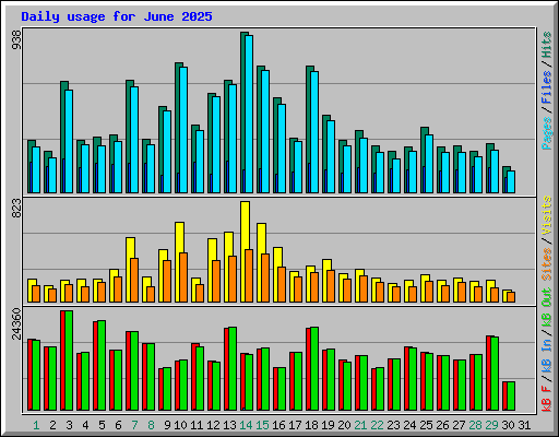 Daily usage for June 2025
