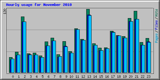 Hourly usage for November 2010