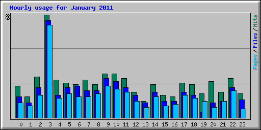 Hourly usage for January 2011