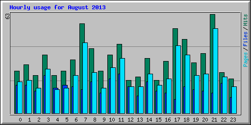 Hourly usage for August 2013
