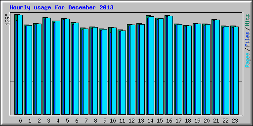Hourly usage for December 2013