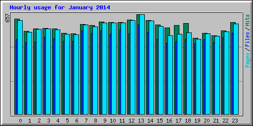 Hourly usage for January 2014
