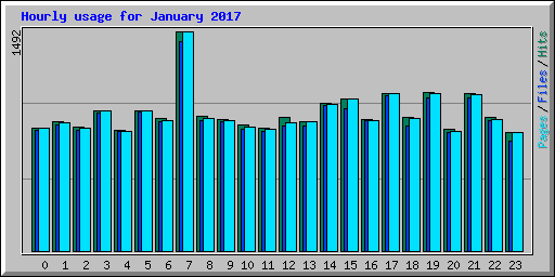 Hourly usage for January 2017