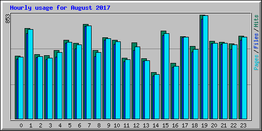 Hourly usage for August 2017