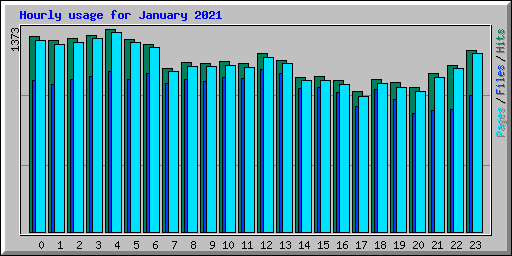 Hourly usage for January 2021