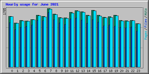 Hourly usage for June 2021