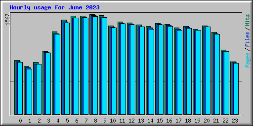 Hourly usage for June 2023