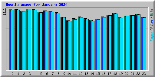 Hourly usage for January 2024