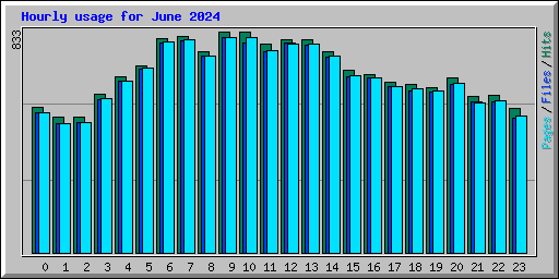 Hourly usage for June 2024