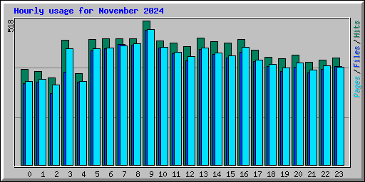 Hourly usage for November 2024