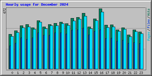 Hourly usage for December 2024