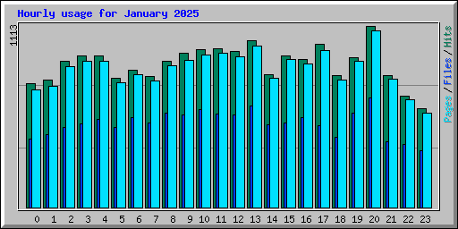 Hourly usage for January 2025