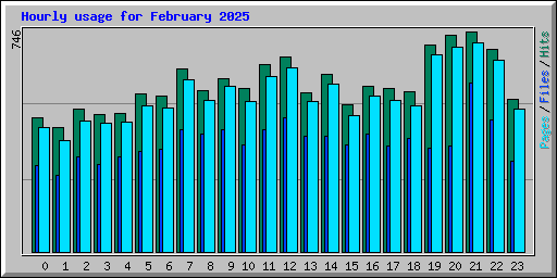 Hourly usage for February 2025