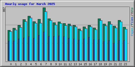 Hourly usage for March 2025