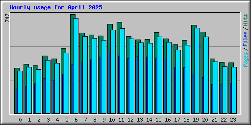 Hourly usage for April 2025