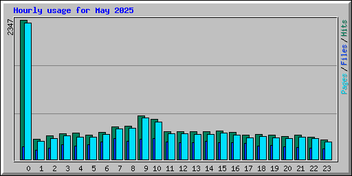 Hourly usage for May 2025