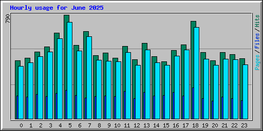 Hourly usage for June 2025