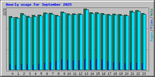 Hourly usage for September 2025
