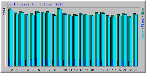 Hourly usage for October 2025