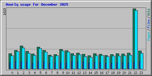 Hourly usage for December 2025