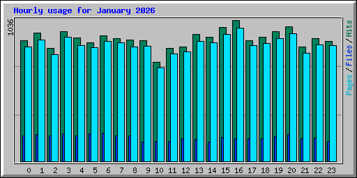 Hourly usage for January 2026