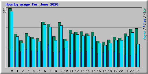 Hourly usage for June 2026